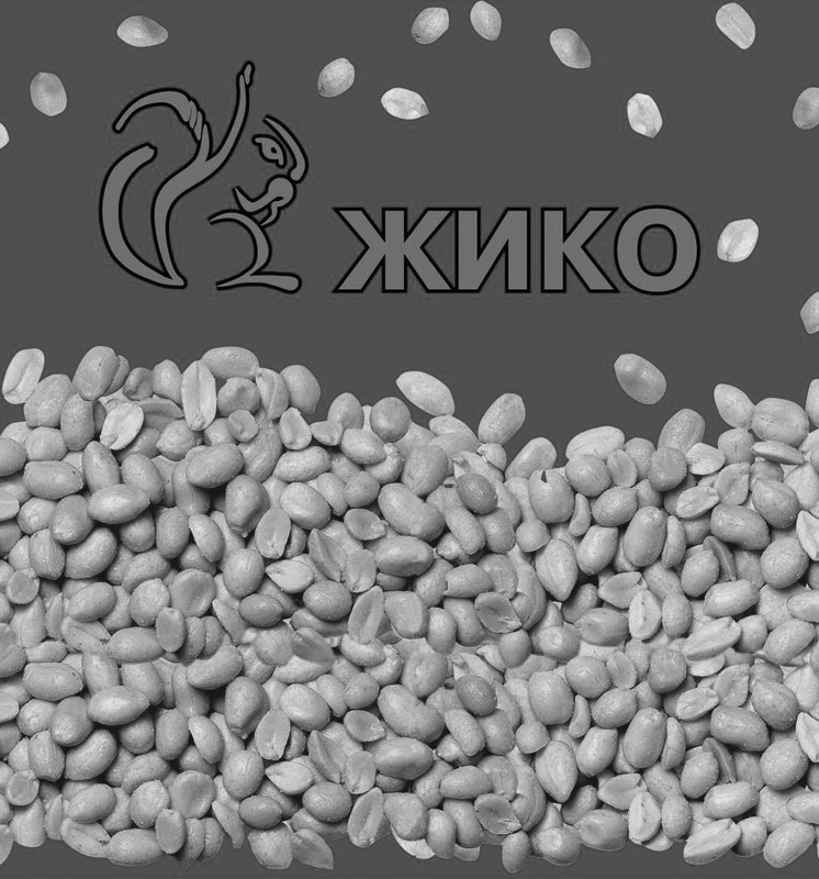жико