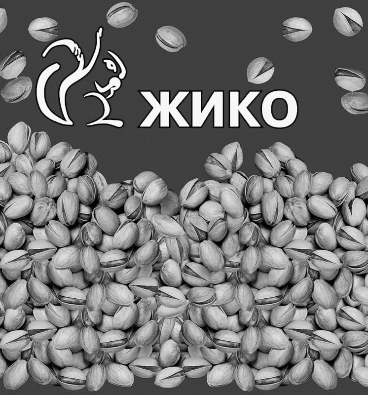 жико
