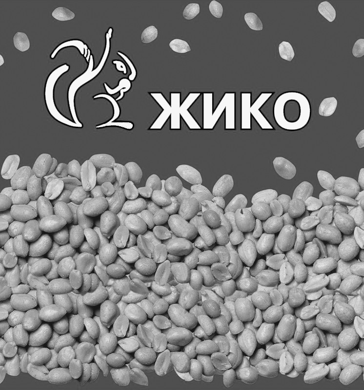 жико