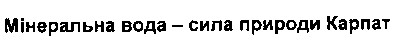 мінеральна вода - сила природи карпат