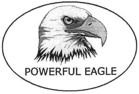 powerful eagle