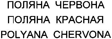 polyana chervona