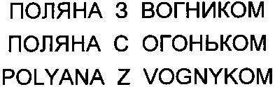 polyana z vognykom