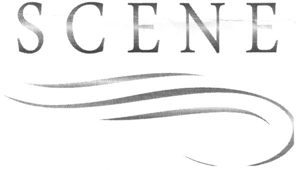 scene