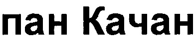 пан качан