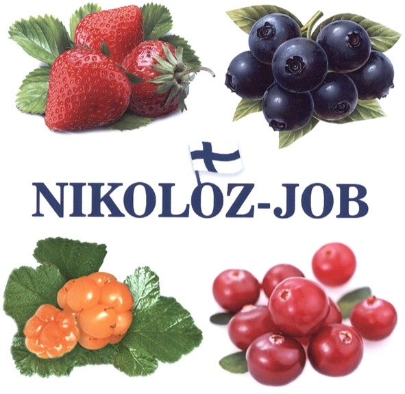 nikoloz-job