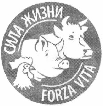 сила жизни