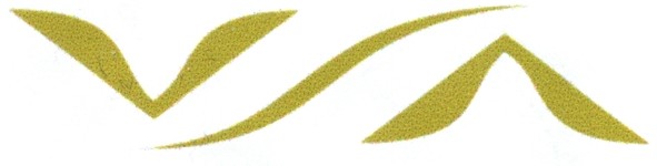 v/л