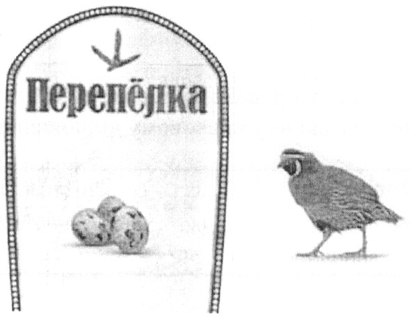 перепёлка