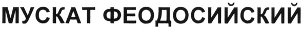 мускат феодосийский