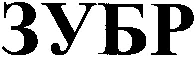 зубр