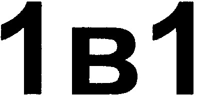 1b1