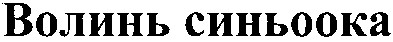 волинь синьоока