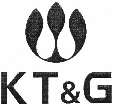 kt&g