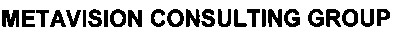 metavision consulting group
