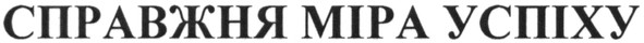 справжня міра успіху