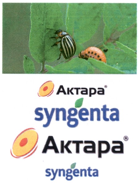 syngenta