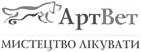мистецтво лікувати