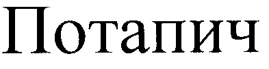 потапич
