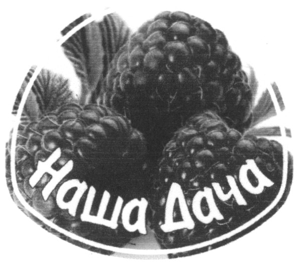 наша дача