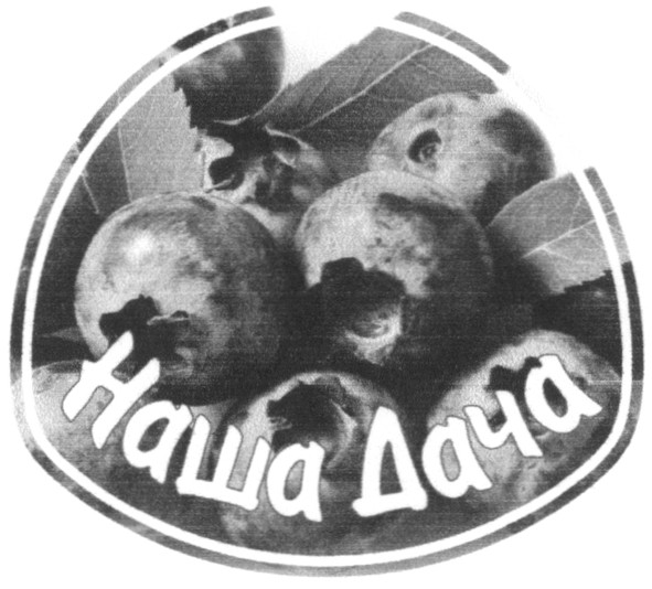 наша дача