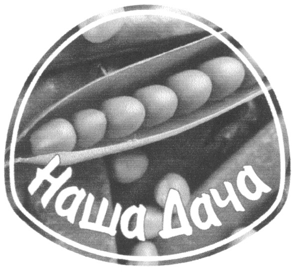 наша дача