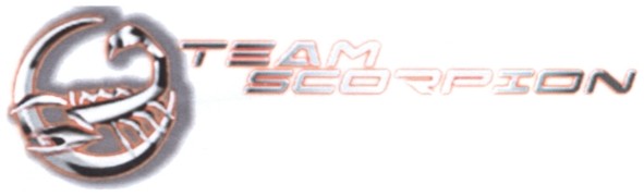 team scorpion