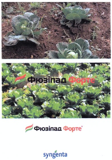 фюзілад форте