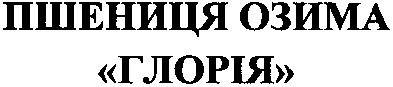 пшениця озима глорія