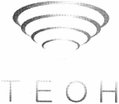 теон