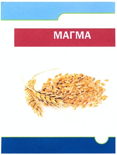магма