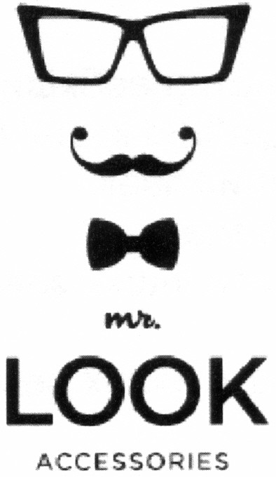 mr. look accessories