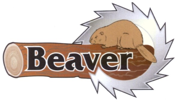 beaver