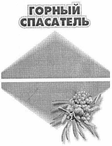 горный спасатель