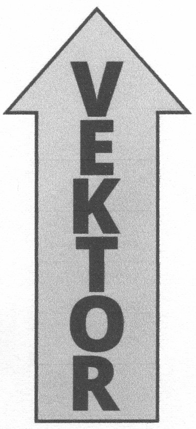 vektor