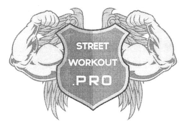 street workout pro