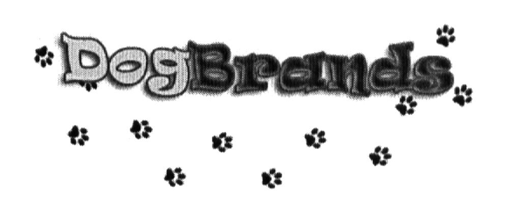 dogbrands