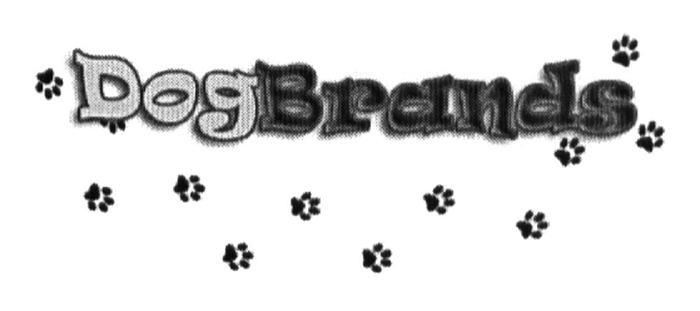 dogbrands