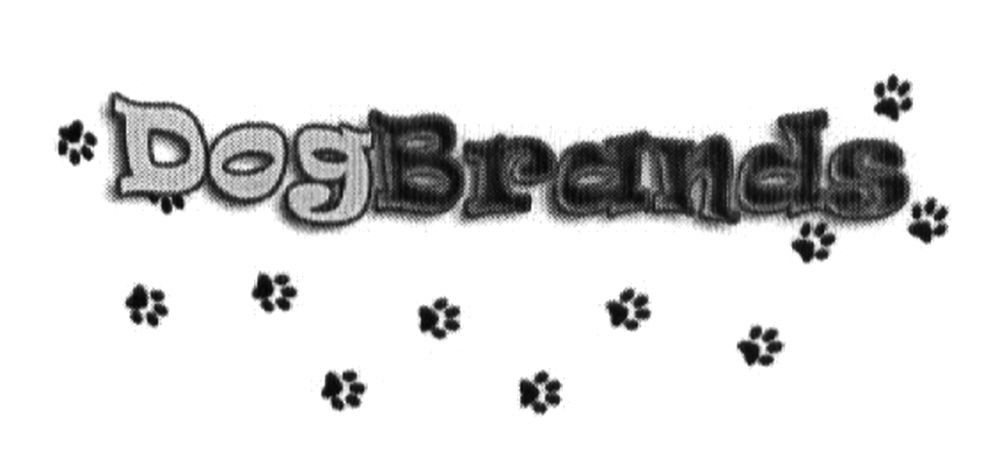 dogbrands