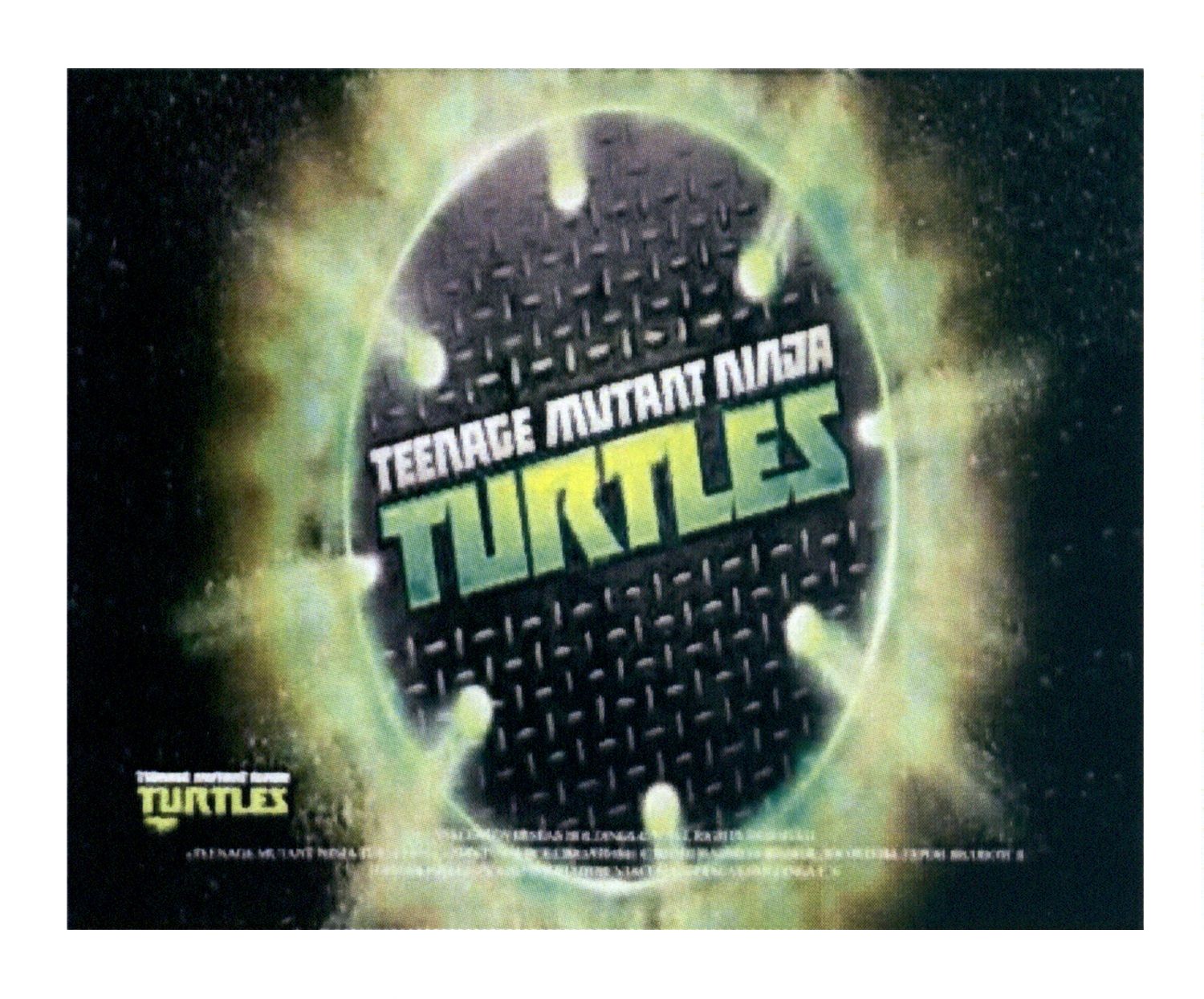 teenage mutant ninja