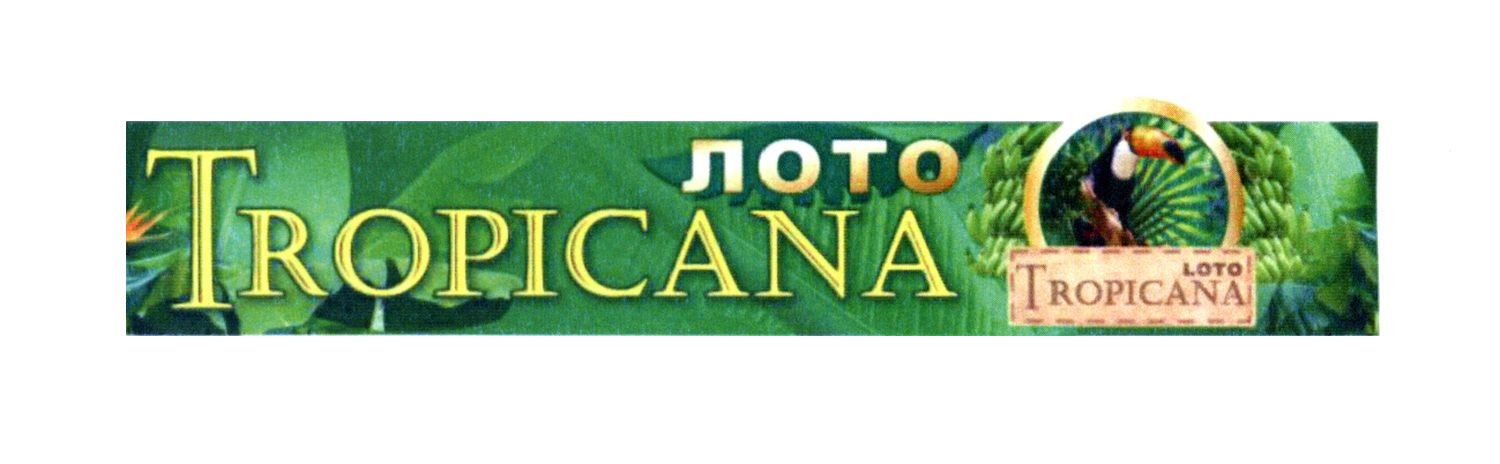 лото tropicana