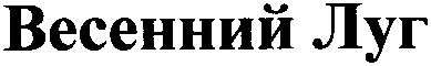 весенний луг