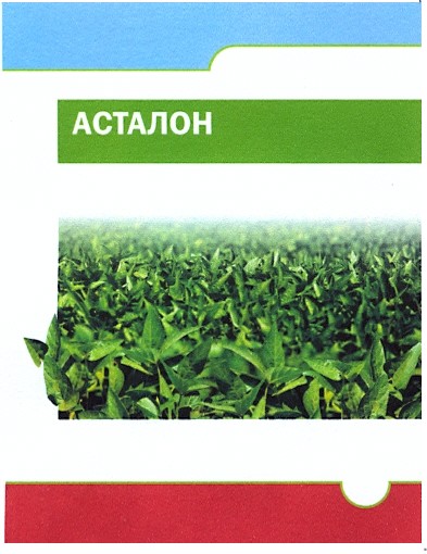 асталон
