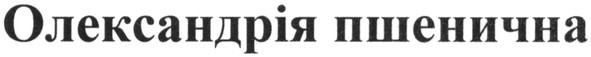 олександрія пшенична