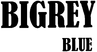 bigrey blue
