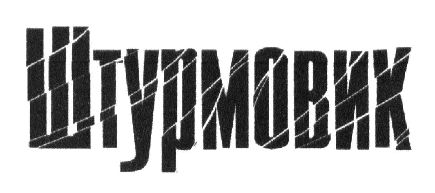 штурмовик
