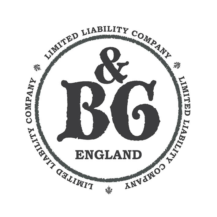 limited liability company