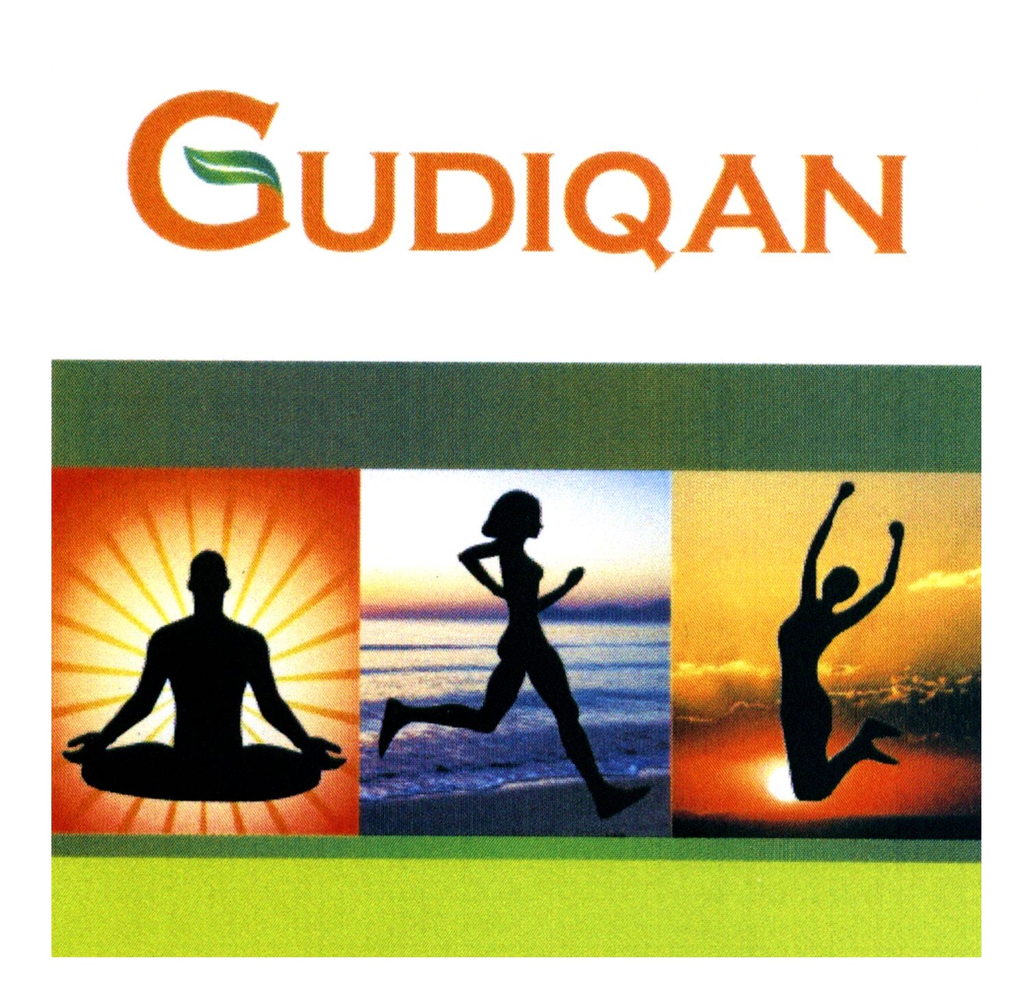 gudiqan