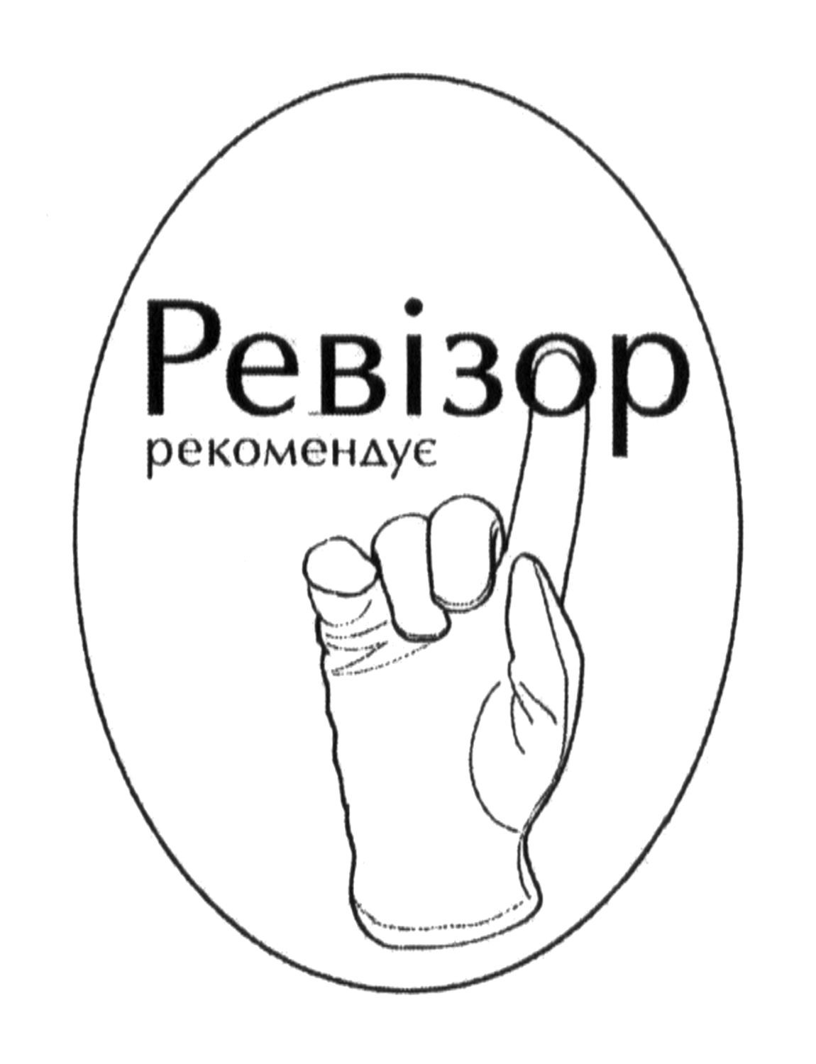 ревізор рекомендує