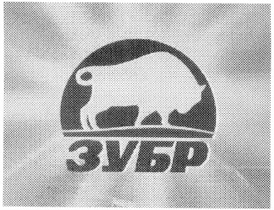 зубр